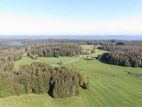 Mischwald am Starnberger See zu verkaufen