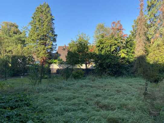Ihr Bauplatz in Neuthard – Ruhig, zentral & sofort verfügbar