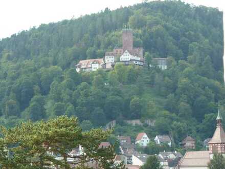 sonnige, großzügige 1 Zi-ETW mit schönem Ausblick