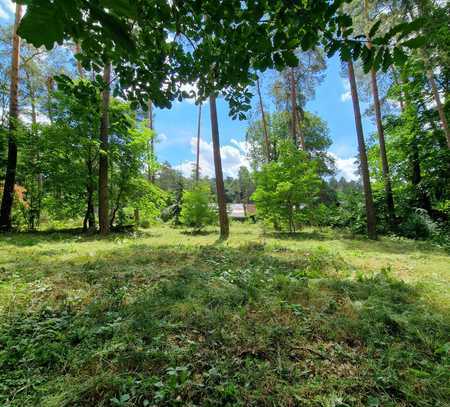 Grundstück fußläufig zum Bötzsee in ruhiger und naturbelassener Lage