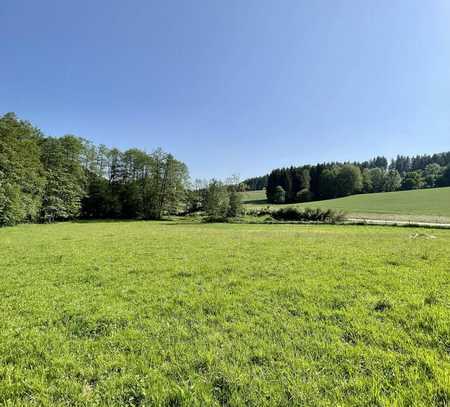 Freizeitgrundstück im Raum Deggendorf - ca. 6.905 qm unberührte Natur