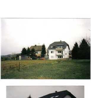 Schöne Wohnung im Grünen