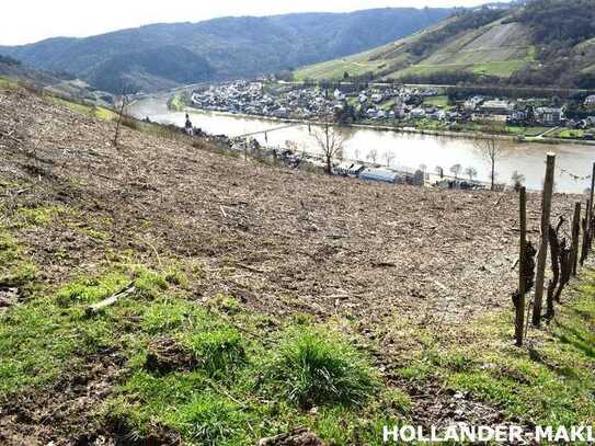 Ehemaliger Weinberg mit fantastischer Aussicht