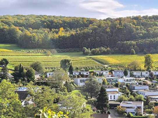 Traumhafte Immobilie in Spitzenlage mit Blick über die Weinberge