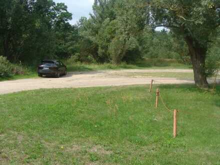 Großes Baugrundstück in der Nähe von Pasewalk (Bauträgerfrei)