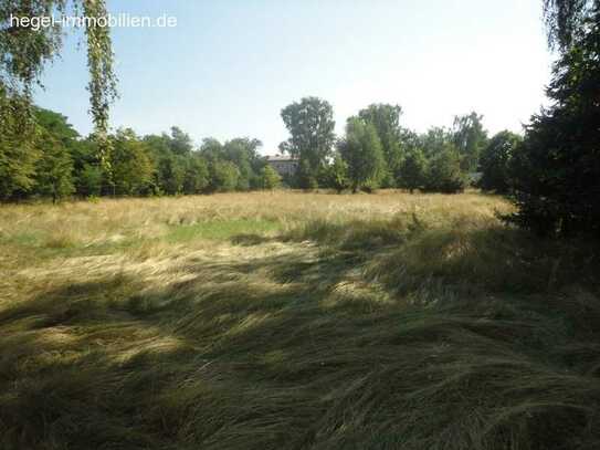 4000m² Baugrundstück in Schermen