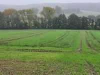 Sehr gute Landwirtschaftliche Flächen bei Kalbe (Milde) in Sachsen-Anhalt zu verkaufen