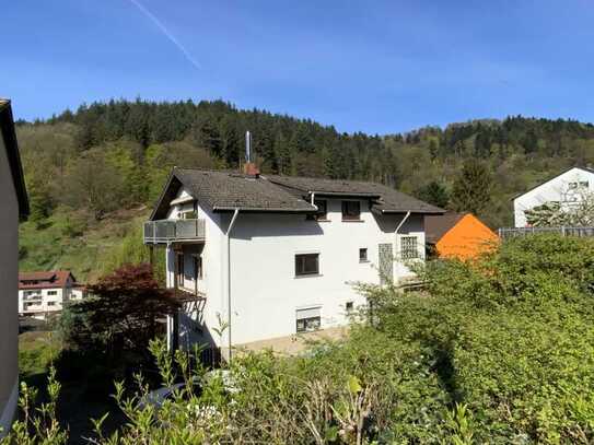 Tolle 2,5 oder 3-Zimmer-Wohnung mit Balkon und traumhafter Aussicht in Ziegelhausen