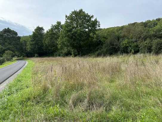 Landwirtschaftsfläche/Wiese bei Hammelburg - Morlesau