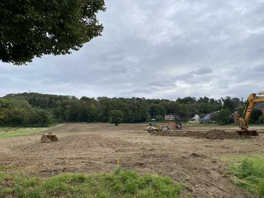 Wald nahes Baugrundstück anzubieten