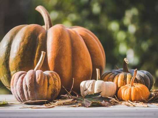 Goldener Herbst, goldenes Zuhause - Exklusives & nachhaltiges Traumhaus