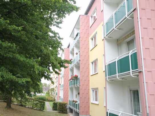 Grünes Wohnumfeld am Bieblacher Hang