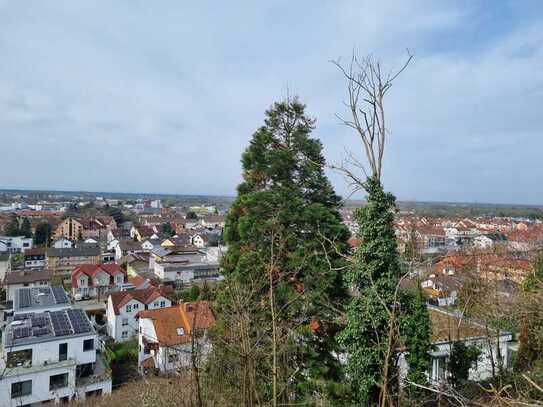 Weitblick - Grundstück in begehrter Wohnlage - Einfamilienhaus oder Mehrfamilienhaus -