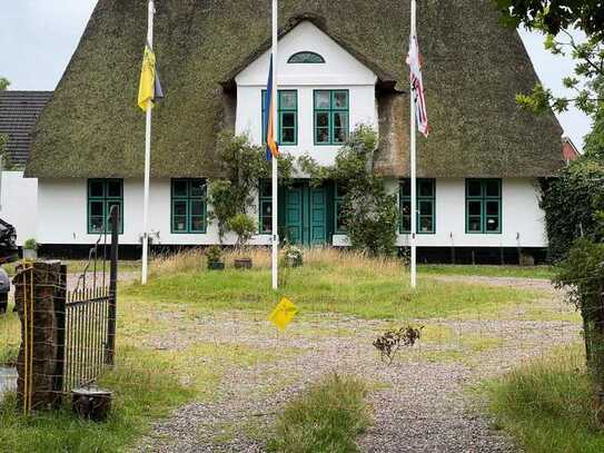 Großzügige reetgedeckte Anlage mit Wohnhaus, separatem Ferienhaus, Pferdestall und Lagerhaus