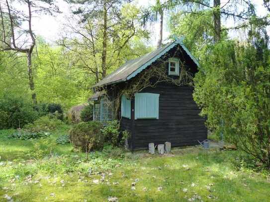 Auktion - Mit kleinem Gebäude bebautes Wohnbaugrundstück mit Waldsiedlungscharakter