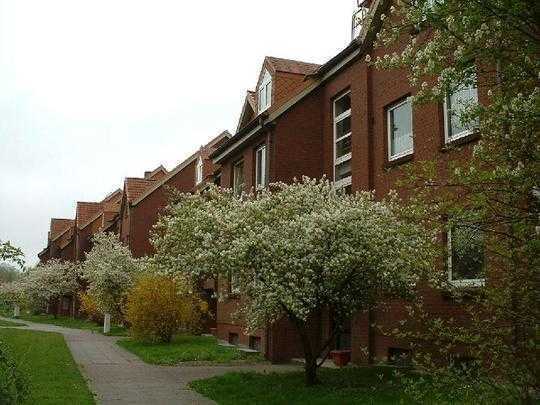 Gepflegte 1-Zimmer-DG-Wohnung mit Balkon und Pantryküche in Ahrensburg (Kreis)