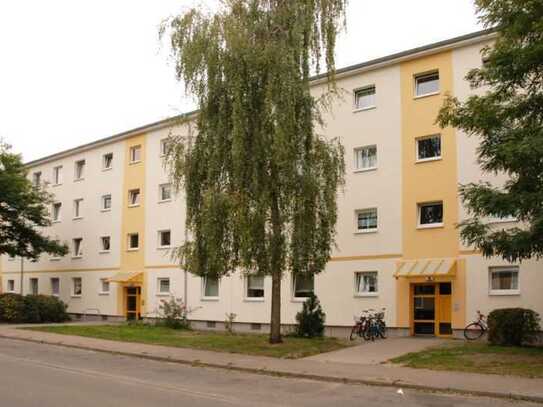 Schöne 4 Zimmer Wohnung in Neugraben Fischbek