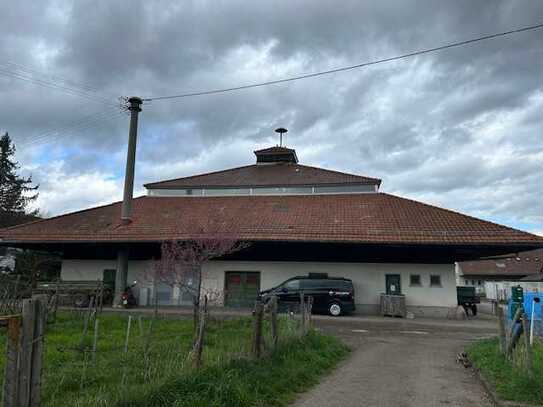 Vielseitig nutzbare Gewerbehalle in Kernen i.R.