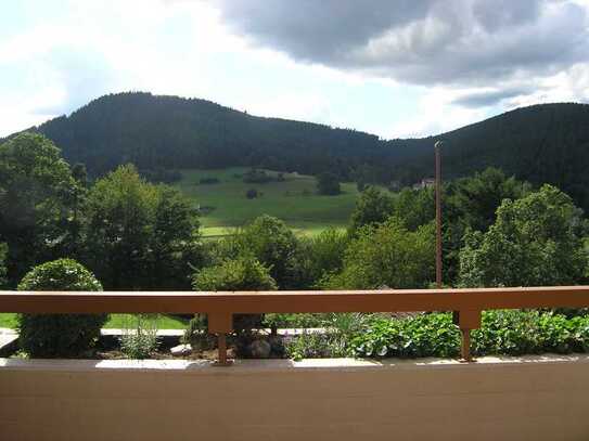 Sonnige 2 Zimmer-Wohnung mit Terrasse in Klosterreichenbach