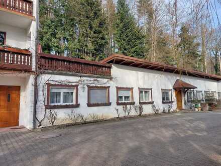 Stilvolle, gepflegte 1-Zimmer-Erdgeschosswohnung mit Einbauküche in Ostrach-Habsthal