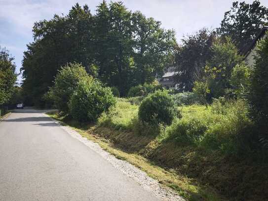 Grundstück mit Fernblick in idyllischer Lage