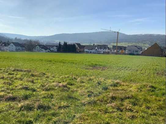 Winnenden-Höfen: Bauerwartungsland