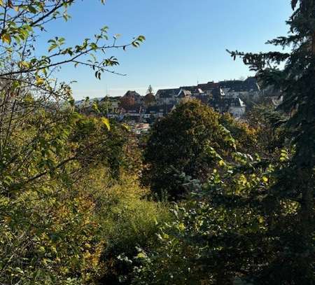 Ausblick bis nach Fellbach 2 Zi. Balkon, EBK im Stuttgarter Westen