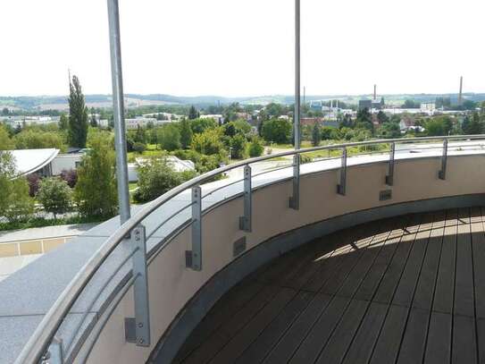 Loftwohnung mit besonderem Pfiff - einzigartig und einmalig - Blick über das Elbtal