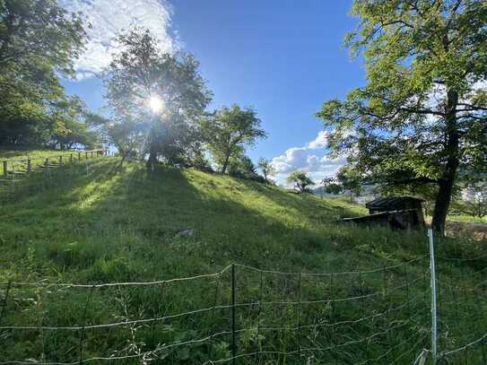 Wunderschönes Grundstück im Gartenhausgebiet Stutz/Brendle in Lörrach-Haagen