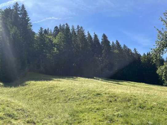 BRENNHOLZ AUS DEM EIGENEN WALD!!! Waldgrundstück in Oberstaufen