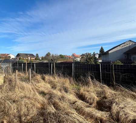 Bauen am Weinberg! Mit Burgblick