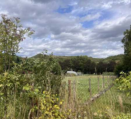 Energieeffizientes Bauernhaus am Rande der Weinberge