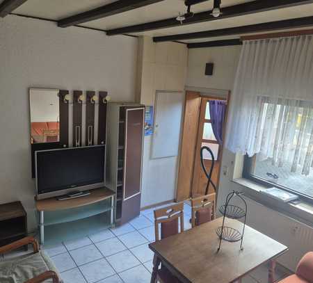 1,5-Zimmer-Apartment in Eppenrod