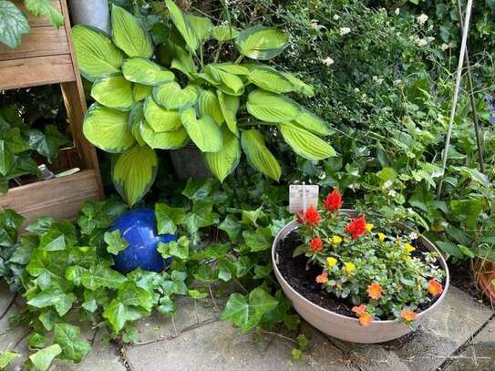 Schöne Gartenwohnung in ruhiger Lage, Nähe Uni-Klinik