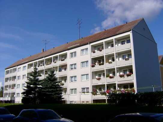 Helle 2-Raum-Wohnung mit Dusche und Balkon sofort zu vermieten!