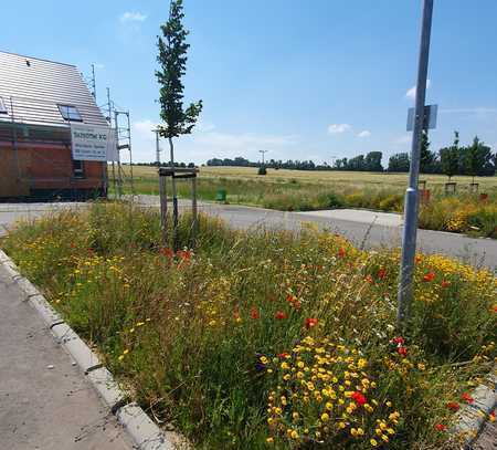 Bauplatz bauträgerfrei - jetzt kostenlose Besichtigung