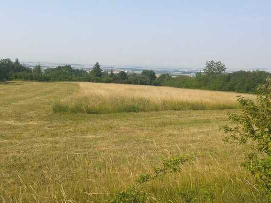 Grünfläche, Gartenland, Sondererholungsgebiet, unbebaut mit Weitblick in Melchendorf