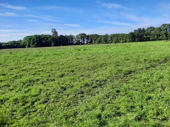 Vielseitig nutzbarer Resthof bei Lütjensee zu Verkaufen, Bauernhaus mit Stallungen auf 9 ha Landflä