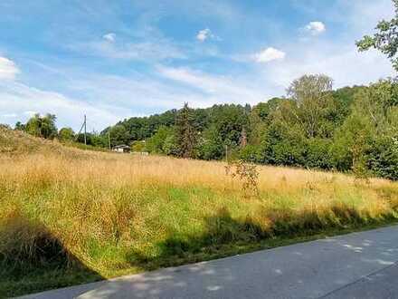 Baugrundstück in Zschopau!!