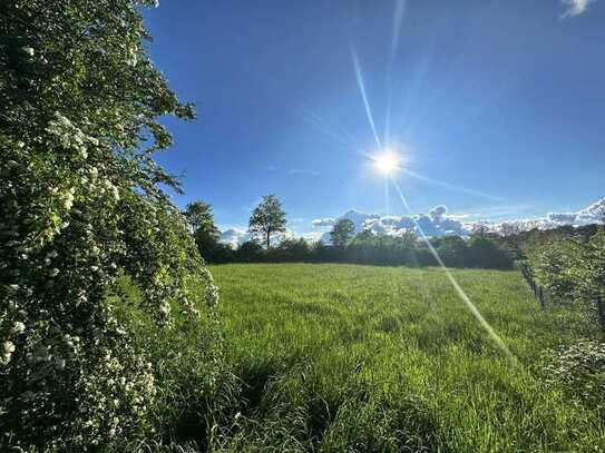 Grundstück an der Bundesstraße in Roetgen - Gewerbe oder Wohnen möglich