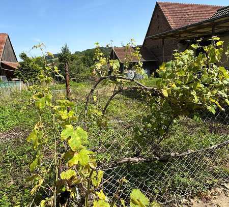 Großes Baugrundstück plus Zweifamilienhaus mit Werkstatt