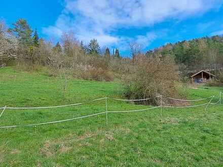 Grundstück in Wochenendsiedlung Martinsberg