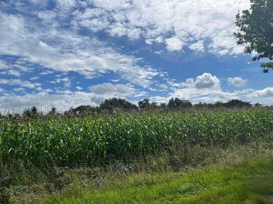 Landwirtschaftliche Flächen in Westerstede Westerloyerfeld zu verkaufen