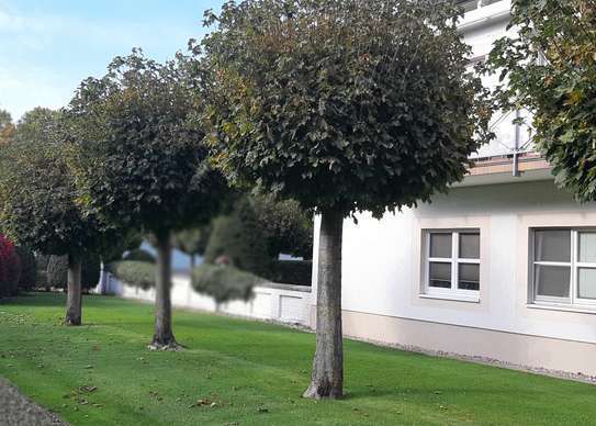 Wohnung auf Zeit, ein Traum für Golfer