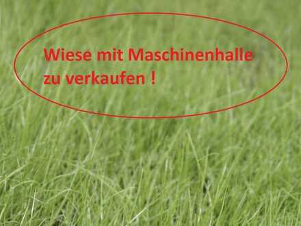 Grünland mit Maschinenhalle in Balzhausen zu verkaufen