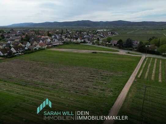 Tolle Gelegenheit - Dein Baugrundstück in Friedelsheim