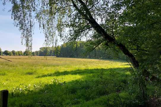 Weitläufige Wiesenlandschaft in Luckenwalde