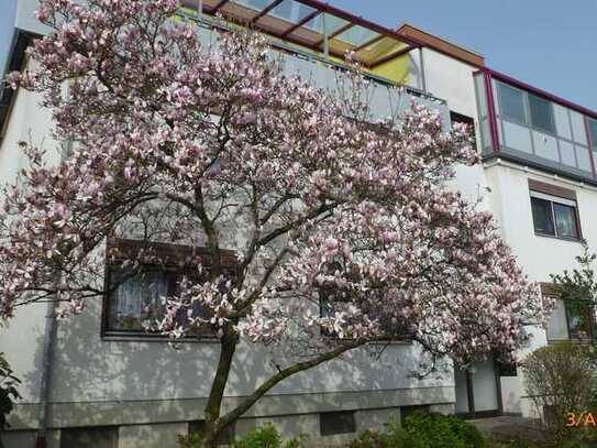 Großzügige, geräumige 2-Zimmer-Hochparterre-Wohnung mit Balkon in Leimen