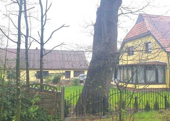 Zweifamilienhaus für die große Familie oder als Generationenhaus mit Nebengebäude