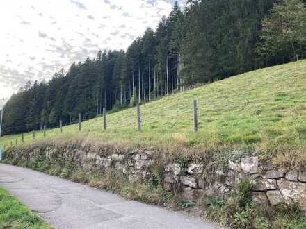 *** Sonniges Hanggrundstück am Waldrand ***